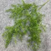 2026 Nuevo Modelo Plantas Verdes Artificiales Hierba de Espárrago Asparagus Asparaginea Decoración de Boda Flores Falsas Verdes Paisajismo Fotografía Plantas Verdes Estilo Bosque