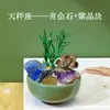 Cristal natural creativo piedra en bruto doce zodiaco estrellado micro paisajismo bonsái planta en maceta decoración de escritorio venta al por mayor