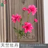 Flores de Peonía Artificiales Románticas, Claveles Soñadores para Decoraciones de Boda, Accesorios de Fotografía, Decoración del Hogar y Arreglos Florales para Centros Comerciales