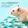 Almofada de Resfriamento para Hamster Tapete Refrescante de Verão Tapete de Resfriamento de Cristal Hamster Dourado Coelho Pet Almofada de Resfriamento Gadget