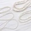 Accesorios de Joyería con Cadena de Grava de Concha Natural Blanca de Forma Irregular, Pulsera de Cuentas DIY, Collar, Producto Semi-Terminado