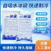 Paquetes de Hielo Desechables Autoabsorbentes al por Mayor, No Requieren Agua, Especiales para Entrega Express, Refrigeración y Conservación Fresca para Frutas y Mariscos, Paquetes de Hielo para Cadena de Frío