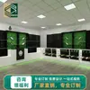 Nuevos Exhibidores de Alta Calidad, Estanterías, Mostradores Exhibidores de Tabaco y Alcohol para Tiendas de Conveniencia de Supermercado, Contenedores de Montaje en Pared, Fábrica de Personalización Directa