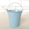 Maceta de Metal para Suculentas, Cubo de Flores, Cubo de Juguetes, Cubo de Playa, Cubo de Agua Pintado, Cubo Metálico Pequeño Versátil de Colores Dulces con Envío Gratis