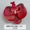 Flores de Orquídea Realistas de 38 pulgadas de Amazon para Fondos de Boda y Decoraciones Florales Orquídeas Artificiales