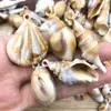 1 Novo pingente de concha de mar de acrílico simulação acessórios de joias DIY feitos à mão caseiros