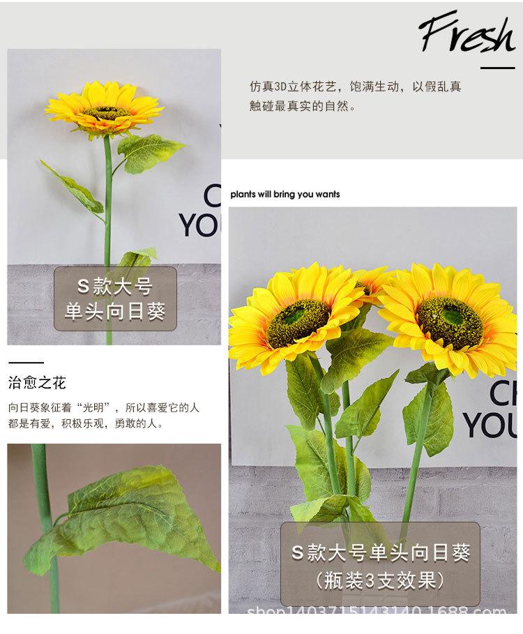 详情页_03.jpg