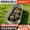 Caixas de Cultivo de Vegetais para Exportação Transfronteiriça, Canteiros de Jardim de Qualidade para Comércio Exterior, Fabricante Original de Floreiras, Canteiros de Mudas, Caixas de Cultivo, Floreiras Modulares