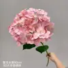 Flores de hortensia de alta calidad y realistas con una textura suave y húmeda, perfectas para arreglos florales de boda, decoración de interiores y fotografía.. Flores de hortensia 3D para una estética estilo Monet