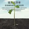 Ativador de Solo, Fonte Mineral de Potássio Ácido Fúlvico, Agente Descompactador de Solo, Fertilizante Solúvel em Água, Fertilizante para Flores, Melhorador Anti-Compactação, Ativador de Solo