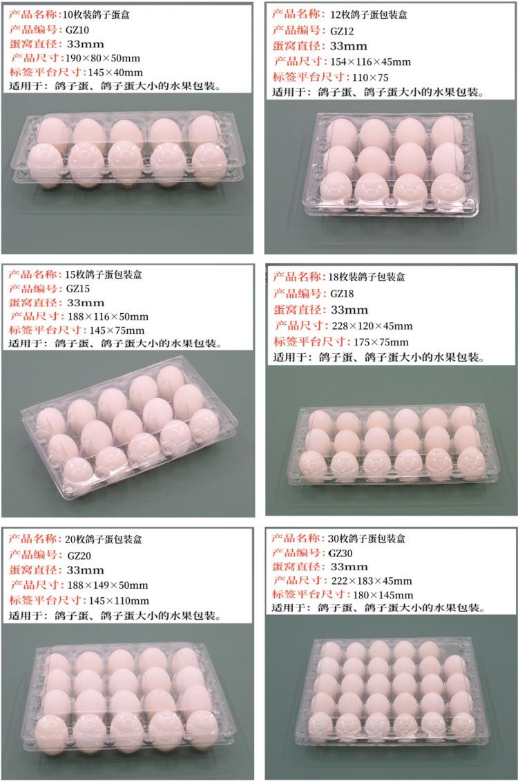 鸽子尺寸组合