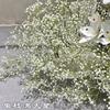 Mostrar viento blanco puro boda flor al por mayor comercio exterior arco blanco hortensia delphinium hierba de dragón fabricantes