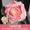 Tinta Spray para Flores, Corante Azul Gelo Triturado Ameixa, Flor de Sabão, Flor Seca, Spray de Arte Floral, Suprimentos para Floricultura Atacado