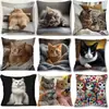 Funda de Almohada de Gato Más Vendida de Temu, Funda de Cojín Decorativa para el Hogar de Animales Linda y Divertida, Hecha a Medida y Disponible para Dropshipping