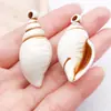 Colgante de Concha Natural de Caracola y Estrella de Mar con Agujero Único Borde Marrón para Pulsera, Collar, Llavero, Accesorios de Joyería