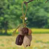 Campanillas de Viento de Cáscara de Fruta Natural, Llaveros Tejidos a Mano, Colgantes para Teléfono Móvil, Campanillas de Viento Tejidas a Mano para Plantas, Colgantes Decorativos para Dormitorio