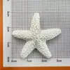 Fornecimento Direto da Fábrica Acessórios de Resina Estrela do Mar Estilo Mediterrâneo Decorações para Aquário Enfeites Conchas Criativas Decoração Exquisita