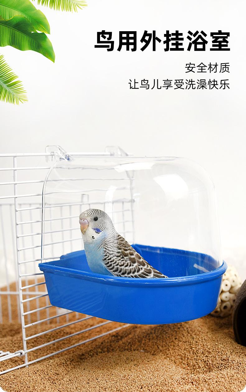 鸟浴室_01