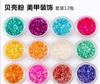 Polvo de concha de 12 colores para uñas, ideal para terapia de luz, decoración de cristales, suministros para uñas al por mayor