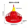 Bebedero para pollos, pequeño bebedero automático para pollos, patos y gansos, disponible en stock. Bebedero para aves de corral, bebedero totalmente automático