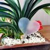 Etiquetas Espessas em Acrílico em Formato de T do Fabricante, Etiquetas para Flores de Jardinagem, Identificação de Plantas, Árvores, Suculentas, Plantas em Vasos
