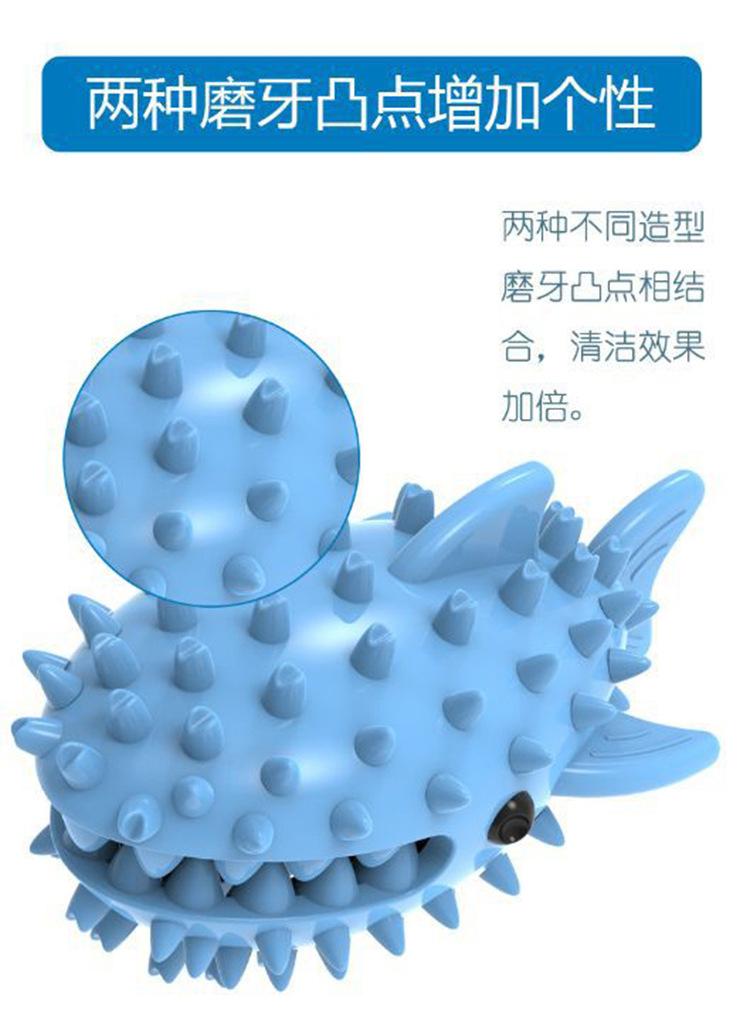 鲨鱼_10.jpg