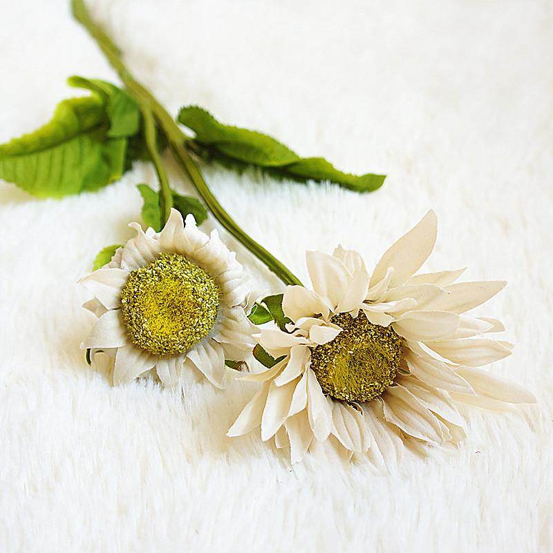 10355484260_734720388