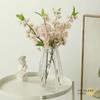 Vaso de Flores de Rede de Alta Qualidade Decorações para Sala de Estar Arranjo de Flores Estilo Ins Vidro Transparente Flores Tulipa Vaso Hidropônico