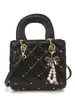 Nova Bolsa Lady Dior Primavera 2026 Bolsa de Mão Casual Feminina, Textura Única, Bolsa de Ombro e Transversal Moderna e Versátil