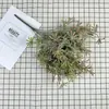 Ramo de Planta Verde Artificial con Hierba de Dinero, Flores Falsas, Flores de Plástico, Decoración Suave, Guía de Camino para Hotel, Arreglo Floral, Accesorios para Sesión de Fotos en Estudio