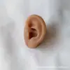 Silicona Suave Simulación de Oreja Humana y Modelo de Oreja Pendiente de Oreja Molde para Auriculares Accesorios Médicos para Demostración de Enseñanza