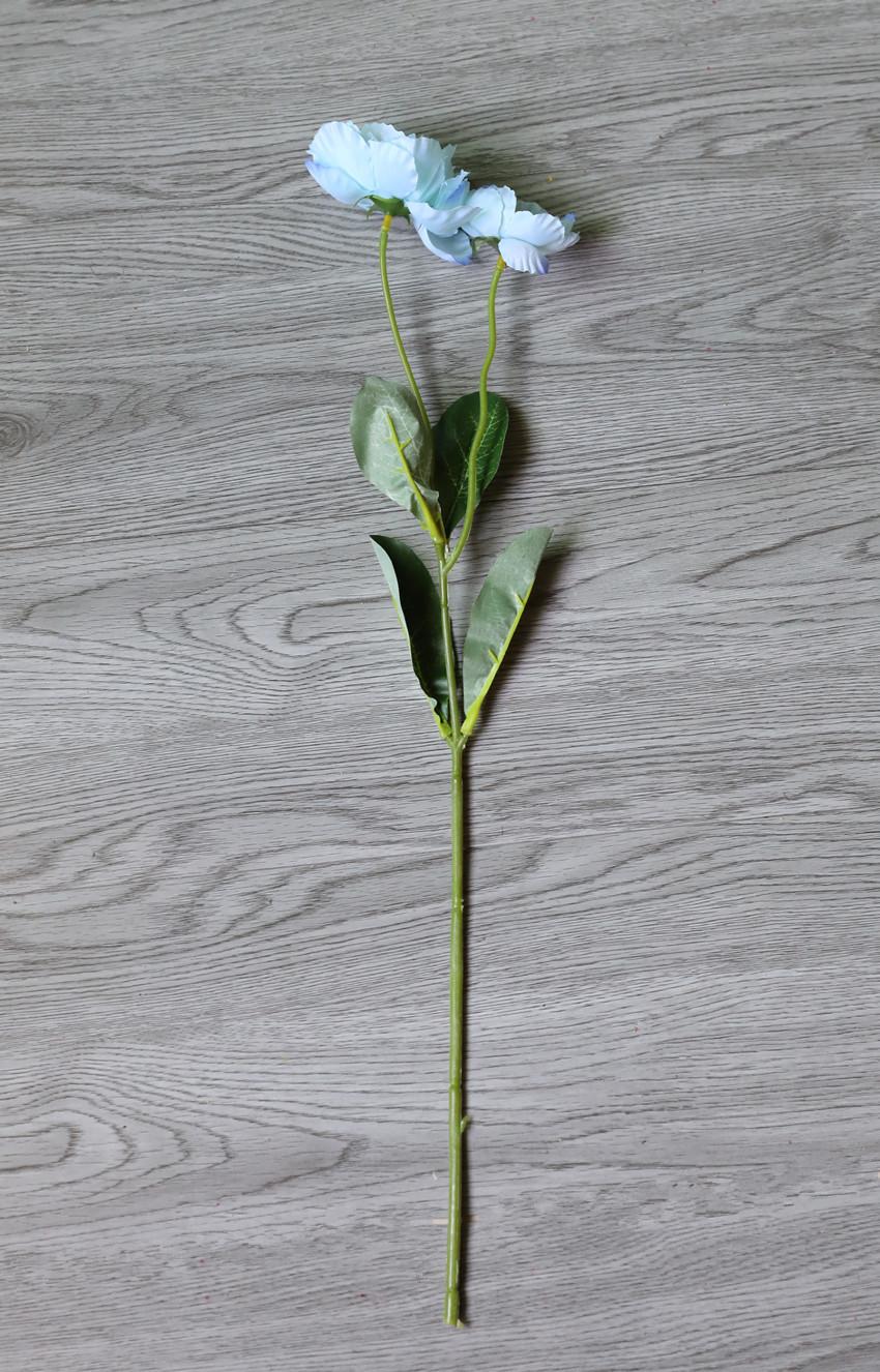 9G4A5457_副本.jpg