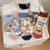 Calcetines Todo en Uno Cuatro Estaciones Sin Costuras Dibujos Animados Calcetines Medianos para Mujer Lindos Moda Japonesa Calcetines Largos Rectos Peinados para Mujer