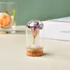 Árbol del Dinero de Grava de Cristal Natural Cubierta de Polvo de Vidrio Árbol de Cristal Hecho a Mano Creativo Árbol de la Vida de Cristal Decoración para el Hogar