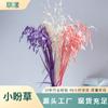 Flor Yongsheng Xiaopan Hierba Venta al por Mayor Fábrica Fuente Pelo Lacio Característica Yunnan Flor Seca Teñido Material Floral Flor Arreglo Floral