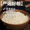 Arroz de Sorgo, Grãos Integrais, Grãos Novos de Sorgo, Grãos Grossos para Cozinhar Mingau, Arroz de Sorgo do Nordeste, Em Estoque Atacado, Dropshipping Disponível