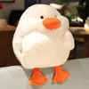 Aquecedor de Mãos de Pato 2 em 1, Almofada e Cobertor para Cochilo no Escritório, Almofada de Carro