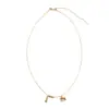 Collar con Accesorios de Calabaza de la Suerte de Pony Triturado con Hielo para Mujer, Estilo de Lujo Ligero de Gama Alta, Cadena para Suéter del Zodiaco del Año del Caballo Venta al por Mayor