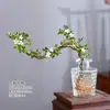 Baoshi Nieve de junio maceta hidropónica bonsái forma de acantilado oficina interior mesa fácil de cuidar plantas de follaje mesa de centro agua