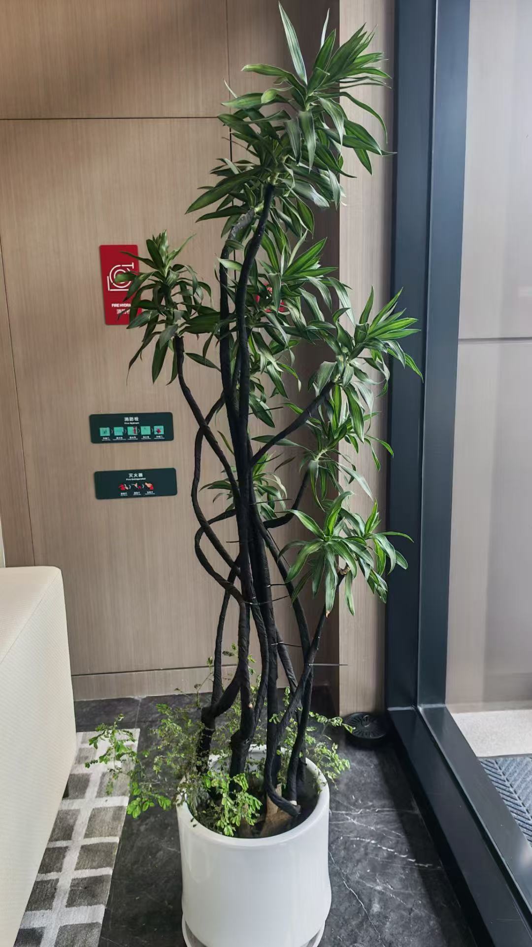 应用