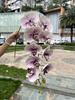 Nuevos fabricantes de phalaenopsis rosa con tacto de algodón de silicona 9 tacto phalaenopsis de Taiwán bodas hogar flores artificiales