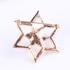 Lanhao Moda Coreana Versátil Atmosférica Broche de Estrela de Seis Pontos Totalmente Cravejado com Pérolas Alfinete de Broche Acessórios para Roupas Femininas