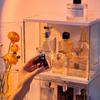 Caja de Almacenamiento para Perfumes Vitrina para Productos de Cuidado de la Piel Transparente a Prueba de Polvo Gran Capacidad Escritorio Dormitorio Tocador Almacenamiento de Cosméticos