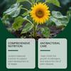 Solución para el Cuidado de Plantas Moonspry Flor en Maceta Pantenol Urea PCA Sodio Suplemento para el Cuidado de Raíces
