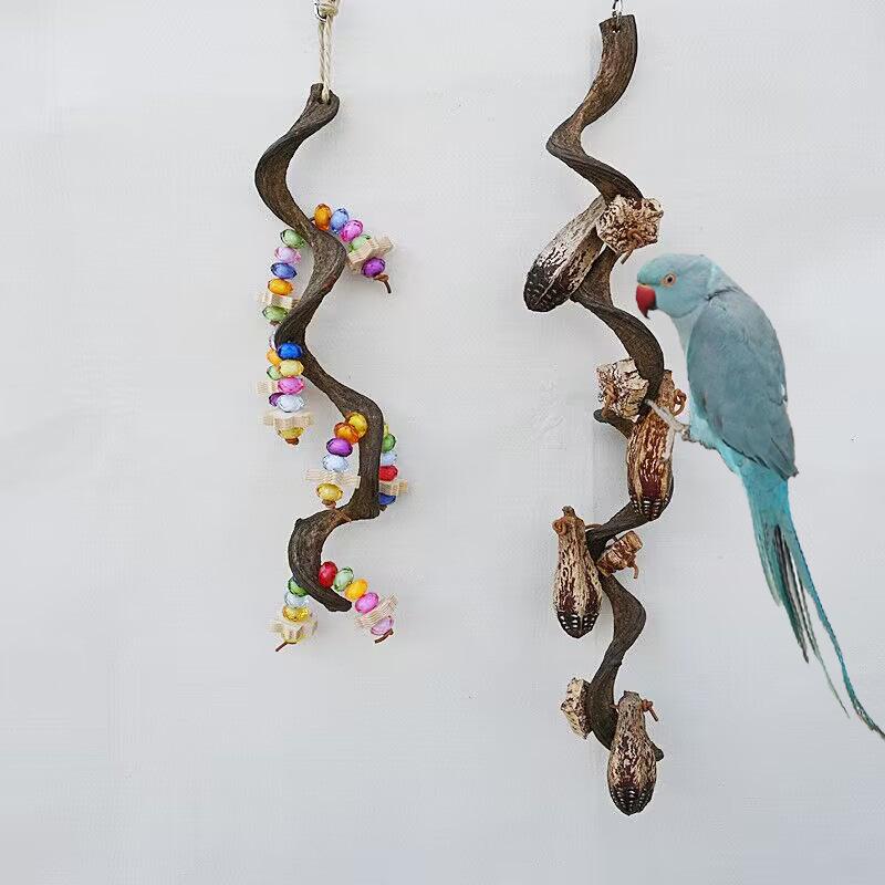 QQ图片20240528210857