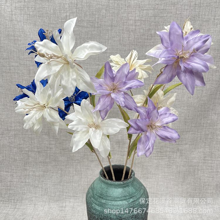 主图 林溪郡.JPG