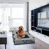 Nova Cama de Acampamento Respirável para Cachorro Pet Sem Instalação Tecido Oxford Dobrável Lavável Portátil Cama para Pet Fabricante de Cama para Cachorro