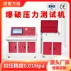 Máquina de Prueba de Presión Hidráulica Fabricante Venta Directa 0-400Mpa Múltiples Opciones de Presión Disponibles Máquina de Prueba de Presión y Rotura
