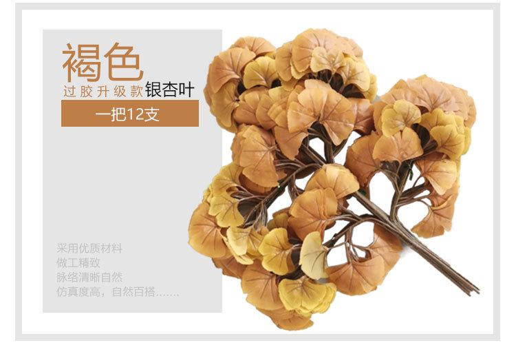 银杏叶详情_05.jpg