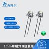 5mm Chapéu de Palha Lâmpada Beads Cabelo Branco Verde F5 Plug-in Direto Alta Luminosidade LED Diodo Emissor de Luz Lâmpada Beads com Pernas Longas e Curtas
